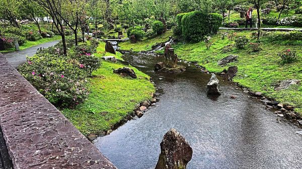 Yangmingshan National Park by null