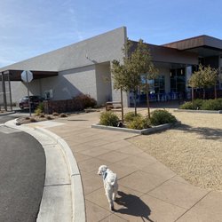 Mesquite Library
