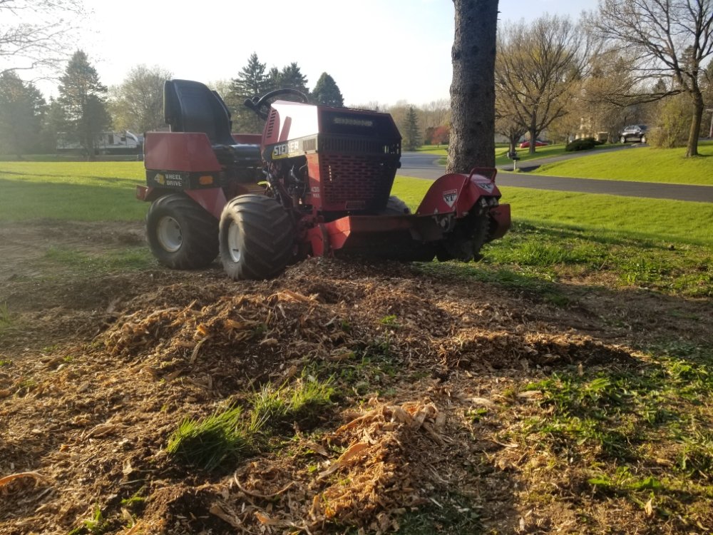 Slide of BFH Services