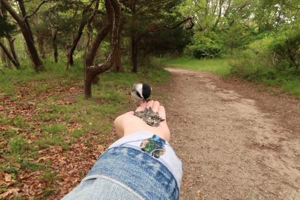 Elizabeth A. Morton National Wildlife Refuge by null