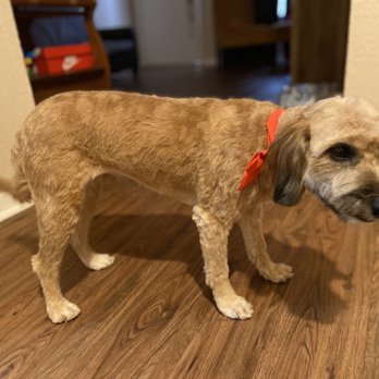 Spencer Pet Salon - Pet Groomers Near Me - Pasadena, Texas Spencer Pet Salon - Pet Groomers Near Me - Pasadena, Texas