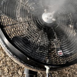 Critters without Litters - Even the outdoor fan is nasty