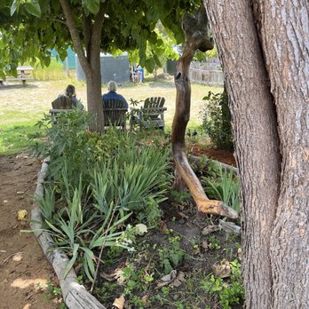 Wild Flour Bread - Happy clients - Bakeries Near Me - Freestone, California