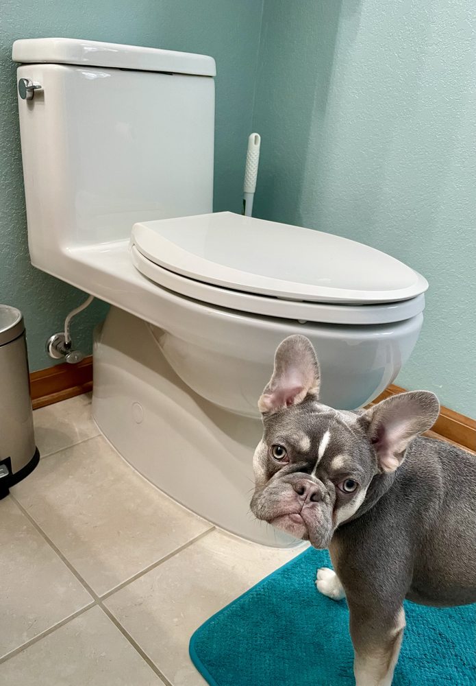 Slide of Citta Plumbing