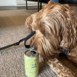 Kerwell - Hmm, just sniffing