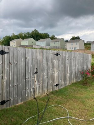 Volunteer Pressure Washing