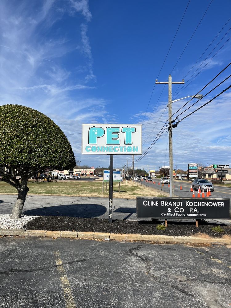 Pet Connection Image