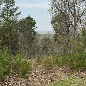 Thickety Mountain - Another view from the mountain top! - Local Flavor Near Me - Cherokee County, South Carolina Thickety Mountain - Another view from the mountain top! - Local Flavor Near Me - Cherokee County, South Carolina