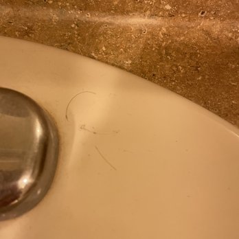 Woodleaf Apartments - My roommate's brown hair in my bathtub. I don't have brown hair. - Apartments Near Me - Campbell, California