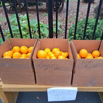 MARTYNSE FAMILY FARM - Box of Juicers for $15 - Farmers Market Near Me - Penryn, California MARTYNSE FAMILY FARM - Box of Juicers for $15 - Farmers Market Near Me - Penryn, California