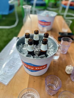 Backyard - Dallas by null