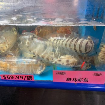 粤皇鼎海鲜会所 - Are you willing to venture ? - Seafood Near Me - Point, New York 粤皇鼎海鲜会所 - Are you willing to venture ? - Seafood Near Me - Point, New York