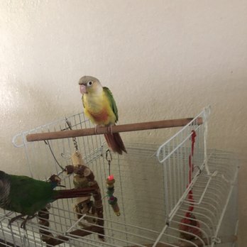 Noah's Ark - Pet Stores Near Me - El Monte, California