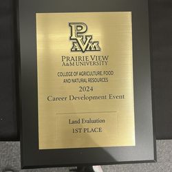 Crown Trophy - Plaque