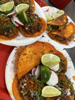 Teddy's Red Tacos by null