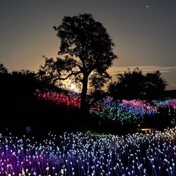 Sun Outdoors Paso Robles - Paso Robles light show just a few minutes from camp.
