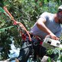 Photo of Arbor Man