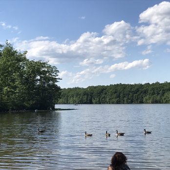 Burke Lake Park - Parks Near Me - Fairfax Station, Virginia