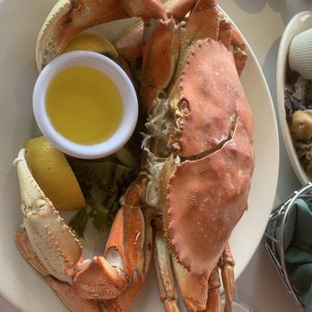 Cafe Fina - Whole Dungeness crab - Seafood Near Me - Monterey, California Cafe Fina - Whole Dungeness crab - Seafood Near Me - Monterey, California