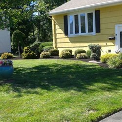 Clean Cut Landscape Services - Shrub trimming and mulch.