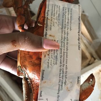 The Crab Place - Select males were the right size - Seafood Near Me - Crisfield, Maryland The Crab Place - Select males were the right size - Seafood Near Me - Crisfield, Maryland