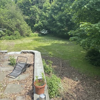 Prime Property Services - Backyard - Landscaping Near Me