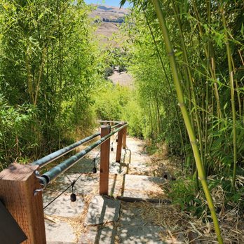 The Dragon Mountain  Thien Long Son - Beautiful paths everywhere - Parks Near Me - Milpitas, California