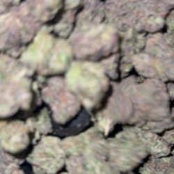 General Zaza Smoke Shop - Flowers...