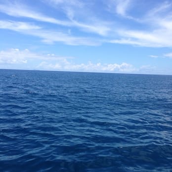 Liko Kauai Cruises - Amazing views! - Tours Near Me - Waimea, Hawaii Liko Kauai Cruises - Amazing views! - Tours Near Me - Waimea, Hawaii