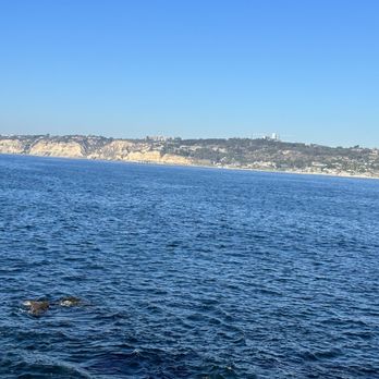 La Jolla Cove - Parks Near Me - La Jolla, California