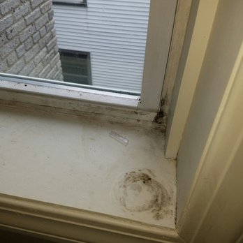 Fineberg Management - Property Management Near Me - Allston, Massachusetts