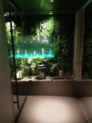 Aikana Chicago by null