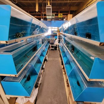 Fish Warehouse - Local Fish Stores Near Me - Westminster, California