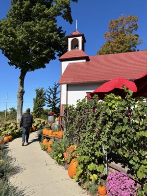 Peninsula Cellars by null