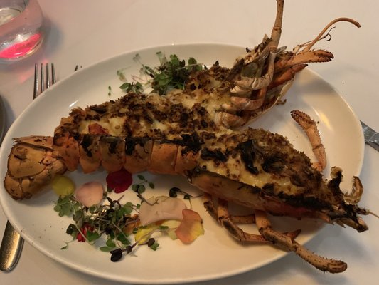 La Nouvelle Maison by null