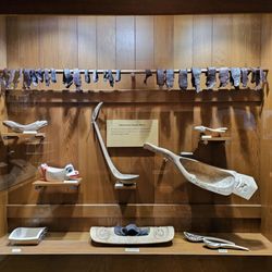 Southeast Alaska Discovery Center