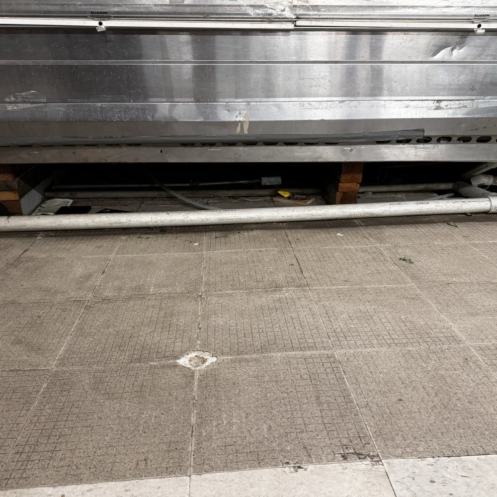 Mountain Market - Underneath produce display, multiple rat and mouse traps, tons of feces, and even a dead mouse or rat. - Grocery Near Me - Pine Valley, California
