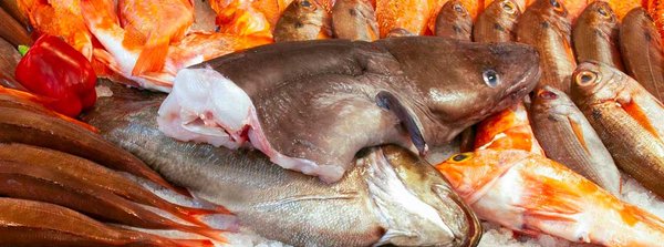 Osler Fish Market by null