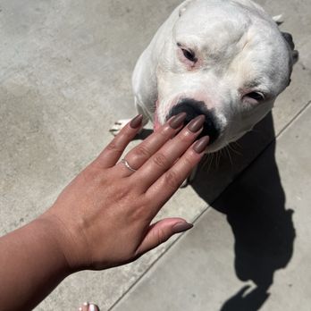 Q Nail Lounge - Gel-x - Nail Salons Near Me - Downey, California