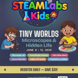 Week 2 Jun.8-12 summer camp theme