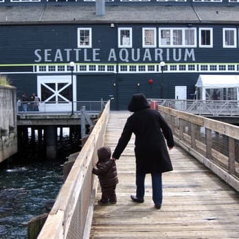 Seattle Aquarium - on the loose - Aquariums Near Me - Seattle, Washington Seattle Aquarium - on the loose - Aquariums Near Me - Seattle, Washington