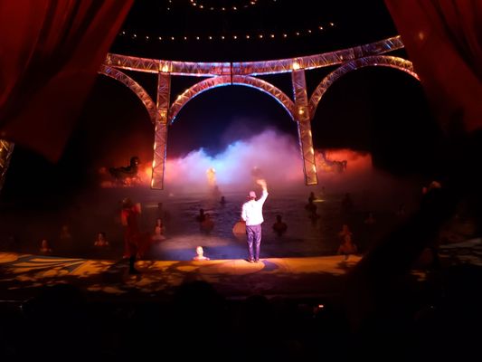 "O" by Cirque du Soleil by null