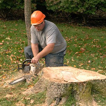 Gary Reynolds Tree Service - Tree Services Near Me