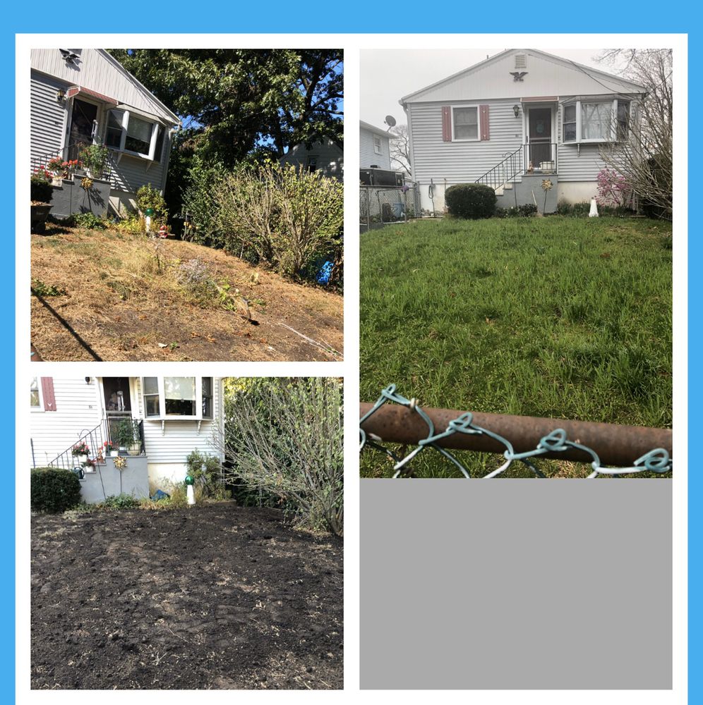 Jovani Precious Cuts - tree service in East Haven, CT