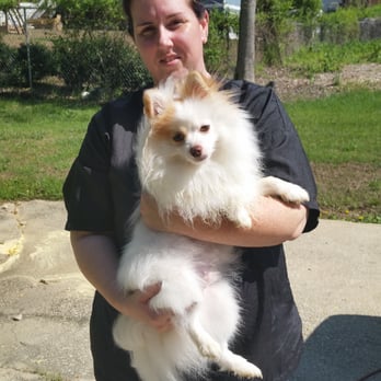 ultimate dog mobile grooming