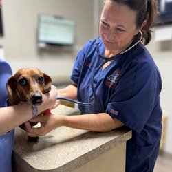 Spanish Trail Animal Hospital