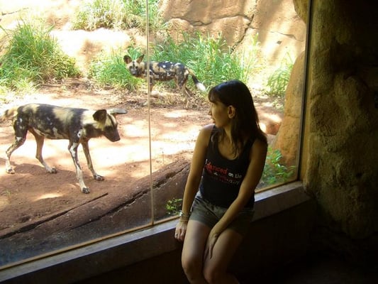 Honolulu Zoo by null