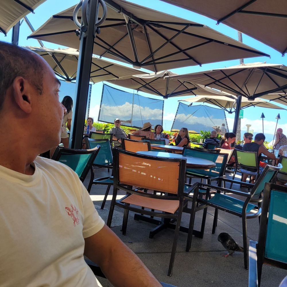 Leilani's On The Beach - By the beach great music and ambiance - Seafood Near Me - Lahaina, Hawaii Leilani's On The Beach - By the beach great music and ambiance - Seafood Near Me - Lahaina, Hawaii