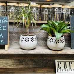 Milagro Centre - We had a superb Mexican mocha at the coffee shop
