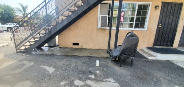 mold removal - mold removal to pass inspection mold removal - mold removal to pass inspection
